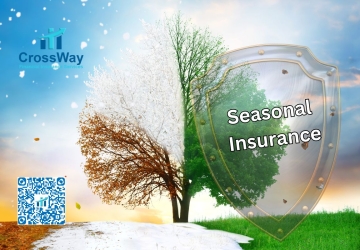 The Essential Guide to Seasonal Insurance